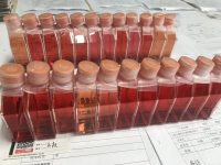 人子宫内膜上皮细胞/免疫荧光鉴定/镜像绮点（Cellverse）