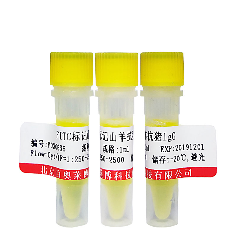 HRP标记小鼠抗Flag-Tag单克隆抗体(DYKDDDDK)(＞95%)