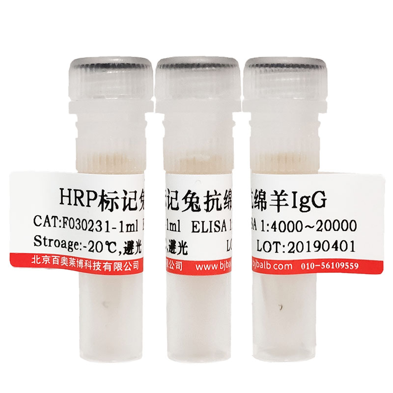 HRP标记重组蛋白G北京现货