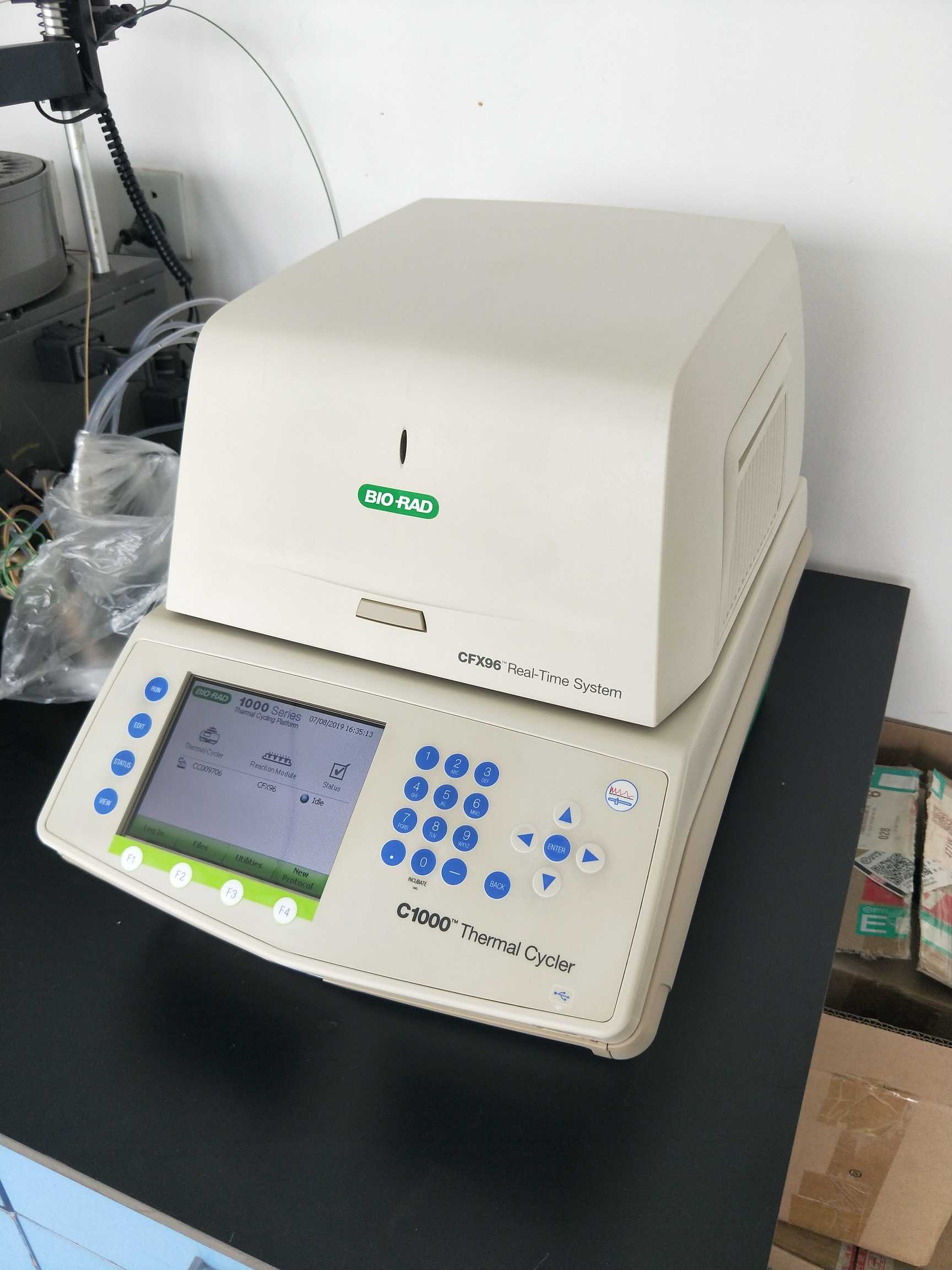 伯乐CFX96荧光PCR仪