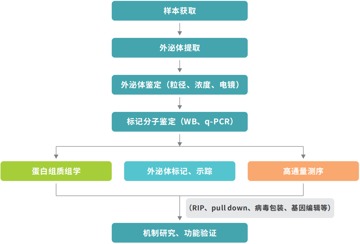 技术流程