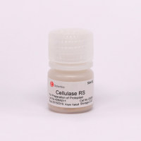 Cellulase RS 纤维素酶RS 9012-54-8