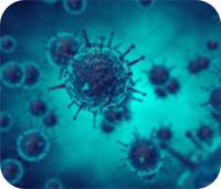 病毒包装//稳转株