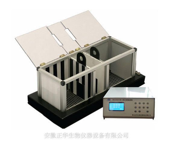 动物跑步机 大小鼠穿梭箱 小鼠位置偏爱箱 自发活动分析系统