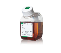现货供应 GIBCO 10091-148 新西兰
