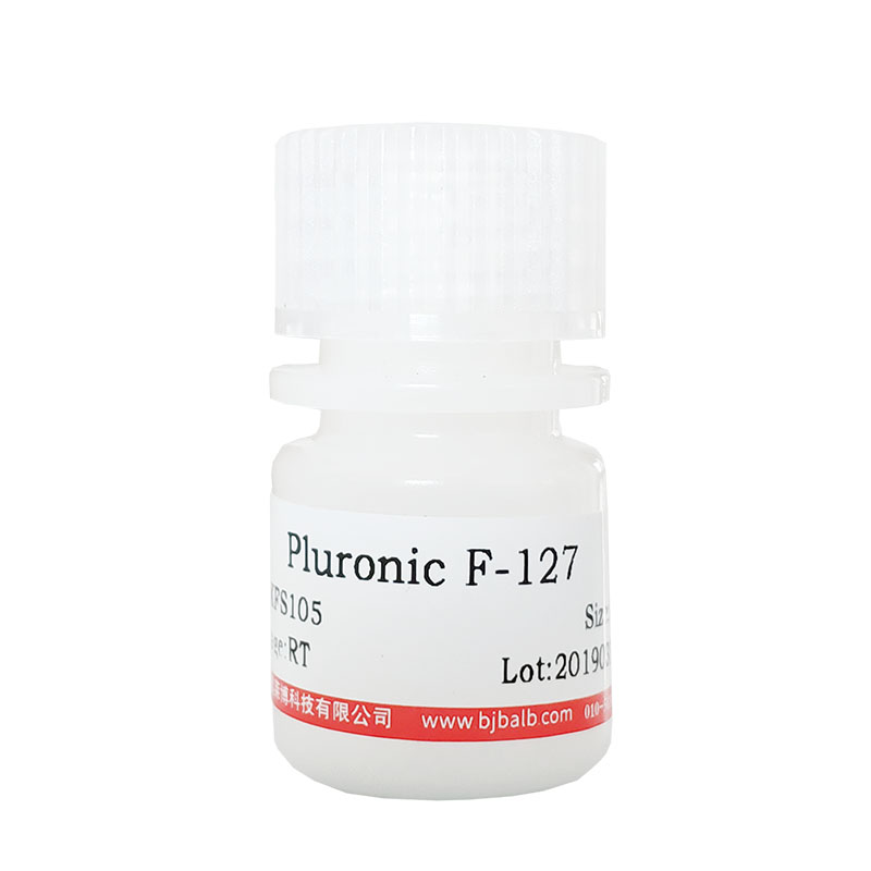 JM110化学感受态细胞北京价格