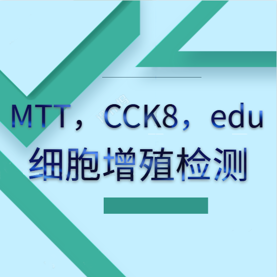 MTT/CCK8/edu检测