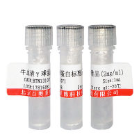 熊猫血管内皮细胞分离液北京供应商