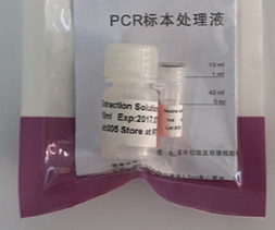 PCR标本处理液