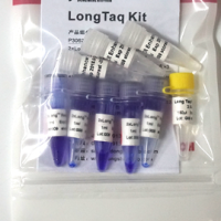 Long Taq Kit
