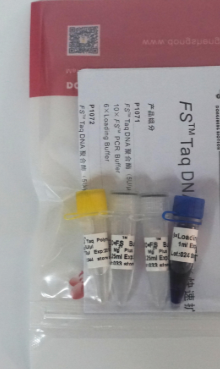 FS™ Taq DNA聚合酶