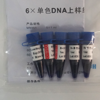 6×单色DNA上样缓冲液