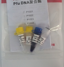 Pfu DNA高保真聚合酶