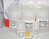 细菌基因组DNA快速提取试剂盒