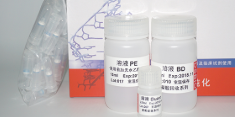 PCR产物及DNA片段纯化试剂盒