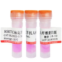 PTEN抗体优惠促销