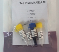 Taq Plus DNA聚合酶