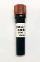 DSRed核酸凝胶染料 10,000× 