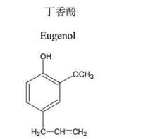 97-53-0丁香酚对照品