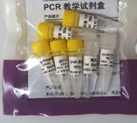 PCR教学试剂盒