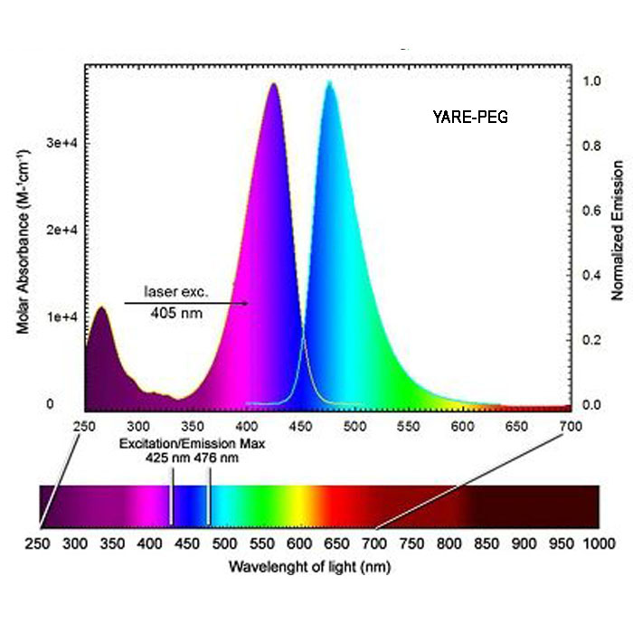 Fluorescent dyes 荧光染料