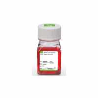 现货供应 GIBCO 25200-056 胰酶