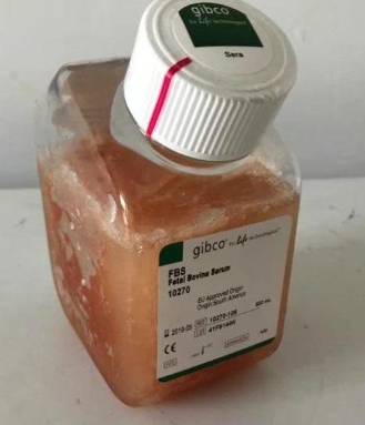 Fetal Bovine Serum(FBS) Superb 特级胎牛血清100ml