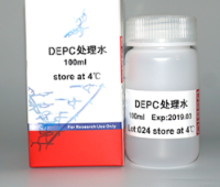 DEPC处理水（RNase-free）