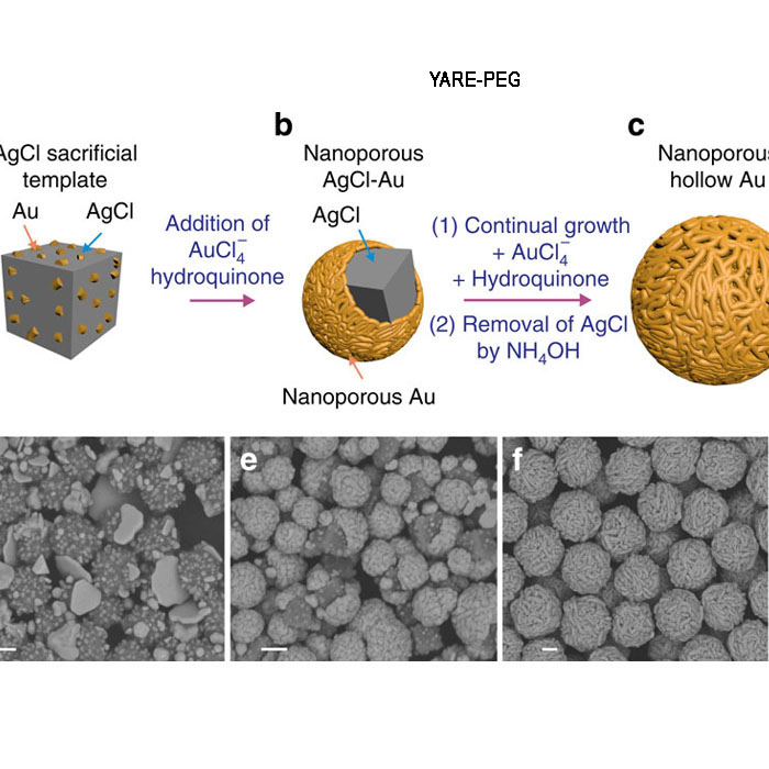 Gold Nanoparticles 金纳米颗粒 Nanorods
