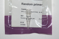 Random primer(50μM）
