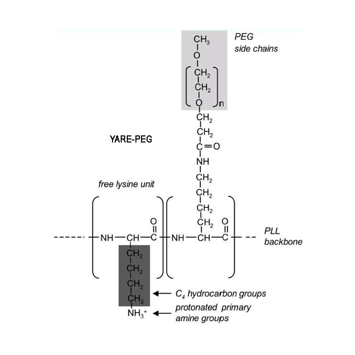 Block Copolymers 嵌段共聚物 PLGA PLA PCL PLL PGA