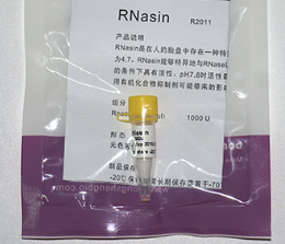 RNasin（RNase 抑制剂）