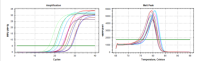 FQTM miRNA cDNA Synthesis Kit