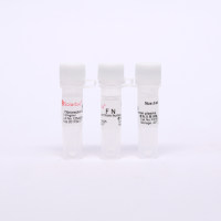 纤连蛋白(人血)供应