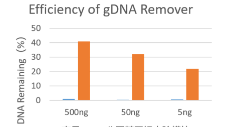 First Strand cDNA Synthesis Kit （+gDNA Clearer）