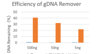 First Strand cDNA Synthesis Kit （+gDNA Clearer）