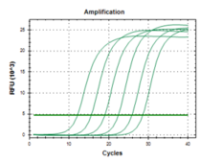 FQTM miRNA qPCR SYBR Kit