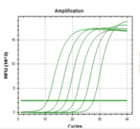 Stem-loop miRNA cDNA Synthesis Kit