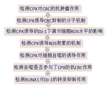 說明: C:\Users\y505\Desktop\CPX Targeting DJ-1 Triggers ROS-induced Cell Deat and Protective Autophagy in Colorectal Cancer\Y9YPVM463)QNH%)MIHKL_NE.png