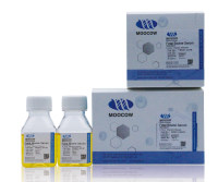 现货供应 Moocow FBS21-0243 通用胎牛血清6*50ml盒装(标准级)