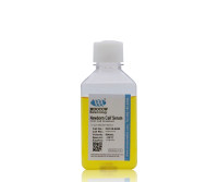 现货供应 Moocow CHC16-0430 CHO细胞专用新生牛血清500ml