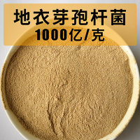 地衣芽孢杆菌1000亿 畜禽水产养殖用微生物菌粉益生菌菌种 美力盾