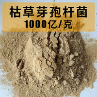 枯草芽孢杆菌1000亿原菌种饲料添加剂原料畜禽水产养殖美力盾