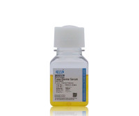 现货供应 Moocow FBS21-0344 通用胎牛血清100ml(标准级)