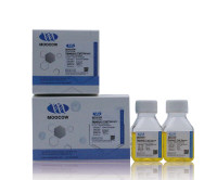 现货供应 Moocow CHC16-0127 CHO细胞专用新生牛血清50ml