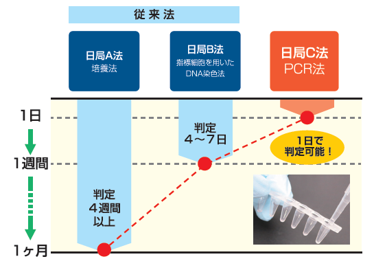 上海正晃