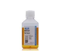 现货供应 Moocow RTS36-0278 大鼠血清500ml