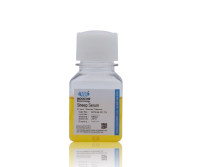 现货供应 Moocow SPS34-0173 绵羊血清500ml