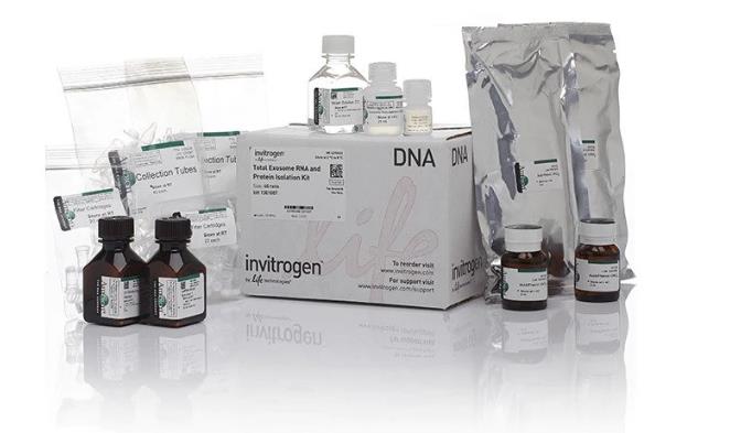 Total Exosome RNA & Protein Isolation Kit