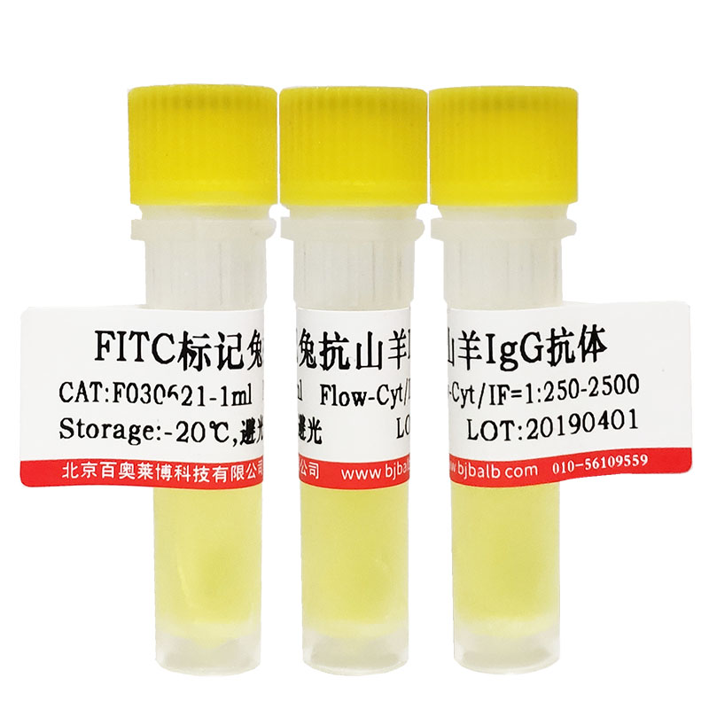 FITC标记小鼠抗人IgG Fab段抗体(FITC标记二抗)